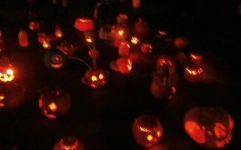 Obrazákem  - DÝŇOBRANÍ 2019